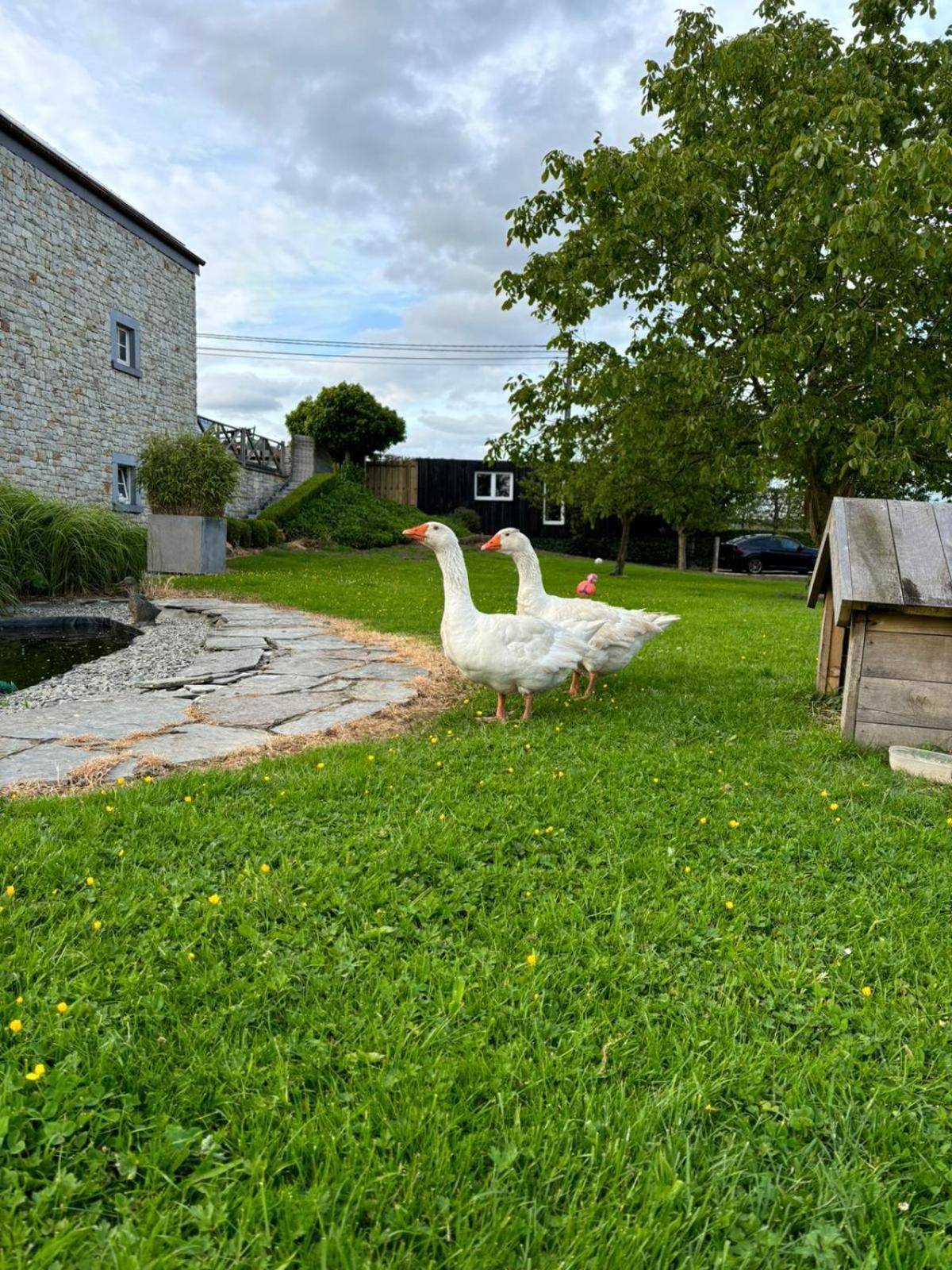 Le Clos Des Bansions Jalhay Buitenkant foto