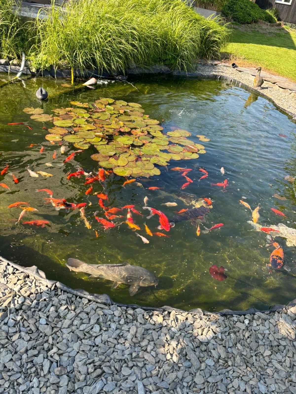 Le Clos Des Bansions Jalhay Buitenkant foto